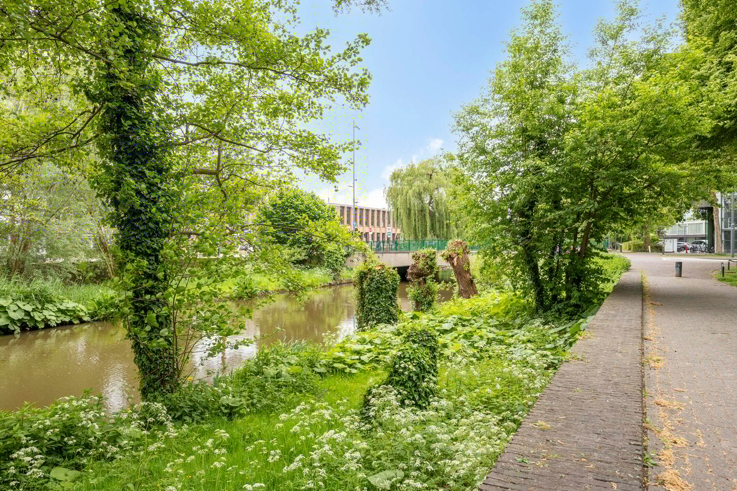 Foto 5 van Mignot en De Blockplein 88