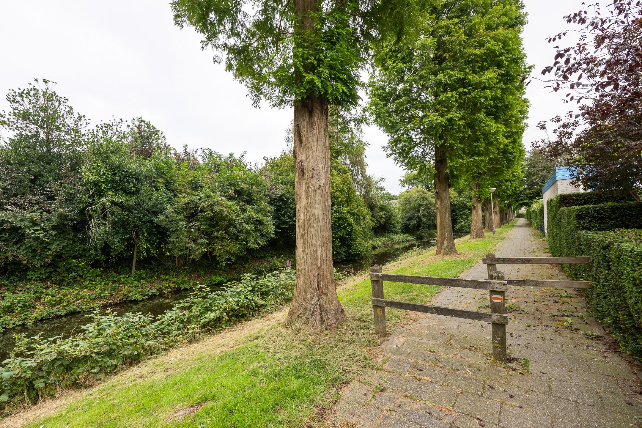 Foto 36 van Standaardmolen 1