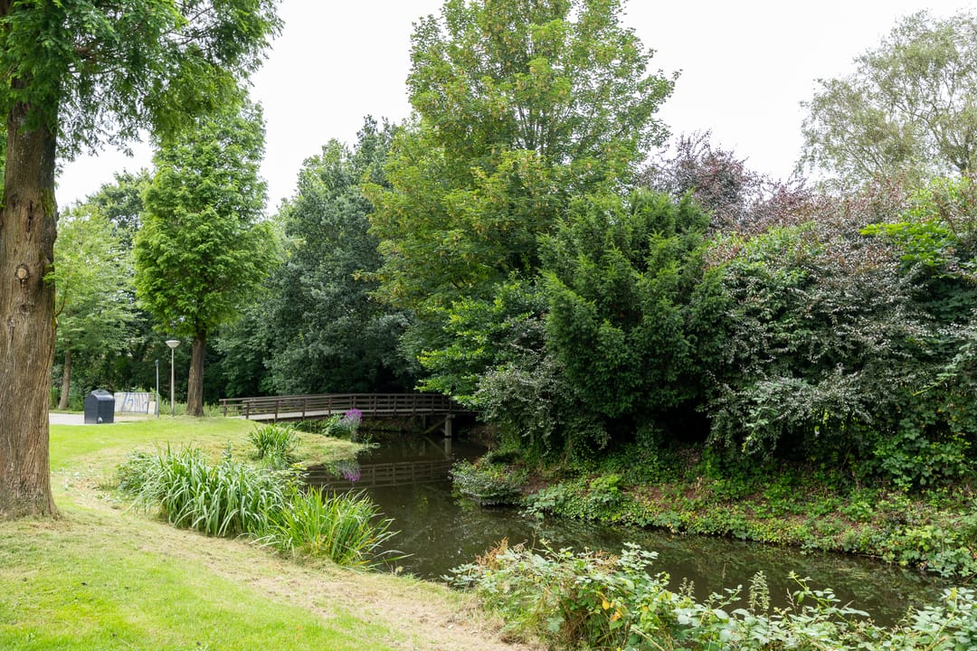 Foto 37 van Standaardmolen 1