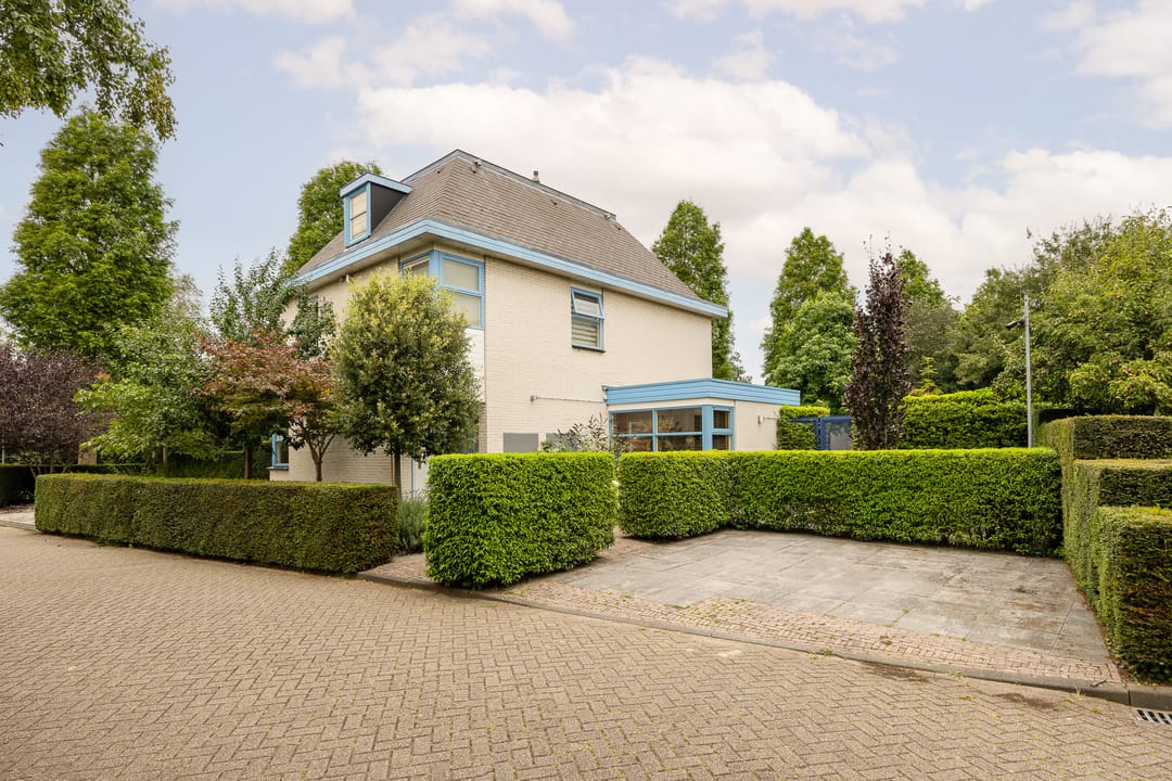 Foto 38 van Standaardmolen 1