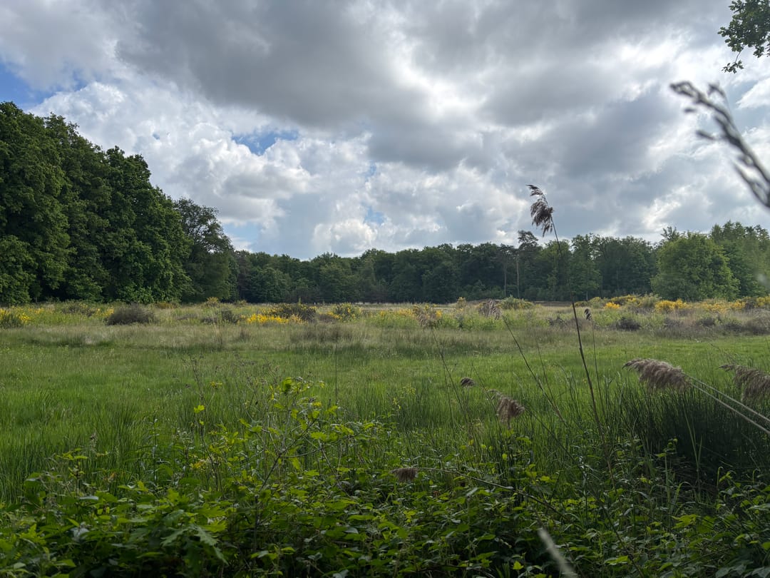 Foto 61 van Keppelseweg 110