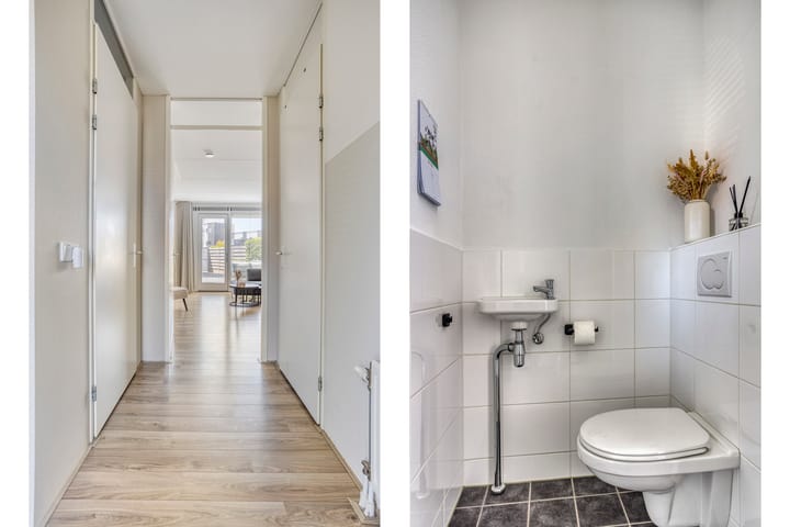 Foto 5 van Vuurvlinder 10