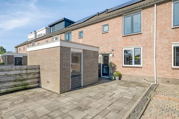 Photo 1 of Meerkoet 11