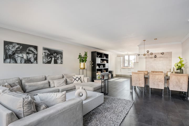 Photo 3 of Meerkoet 11