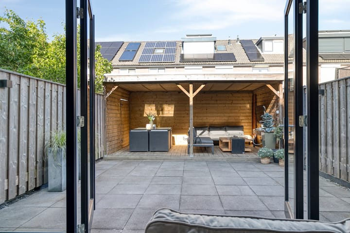 Photo 13 of Meerkoet 11