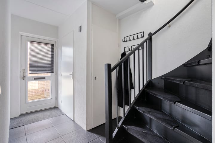 Photo 14 of Meerkoet 11