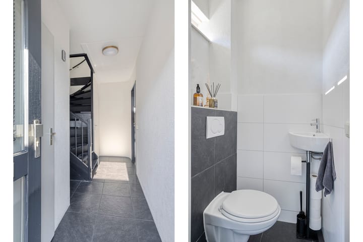 Photo 15 of Meerkoet 11