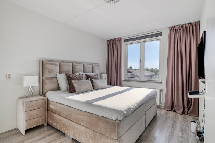 Photo 16 of Meerkoet 11