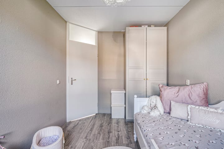 Photo 18 of Meerkoet 11