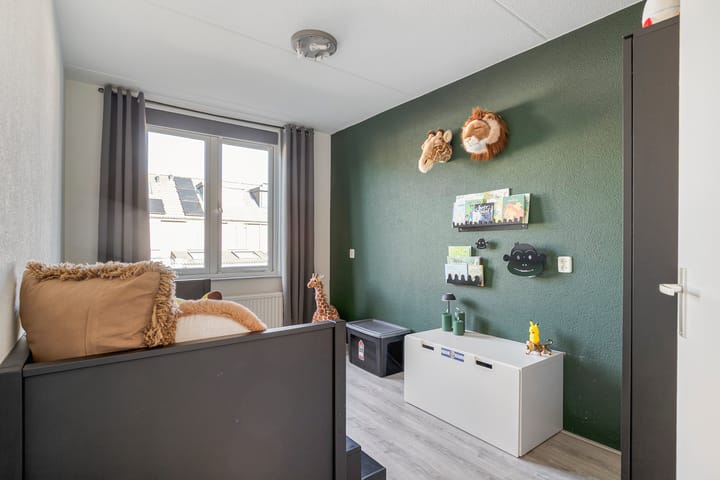 Photo 19 of Meerkoet 11