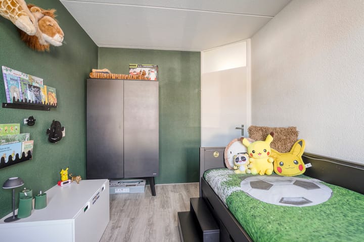 Photo 20 of Meerkoet 11