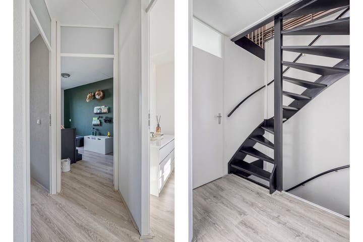 Photo 25 of Meerkoet 11