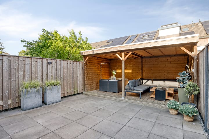 Photo 31 of Meerkoet 11