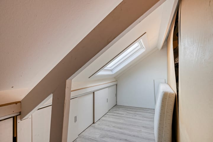 Photo 28 of Meerkoet 11