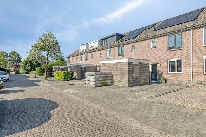 Photo 35 of Meerkoet 11