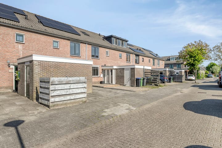 Photo 36 of Meerkoet 11