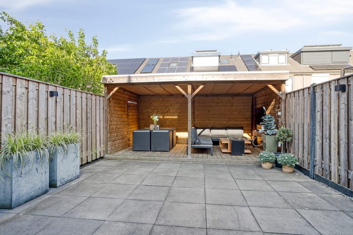 Photo 30 of Meerkoet 11