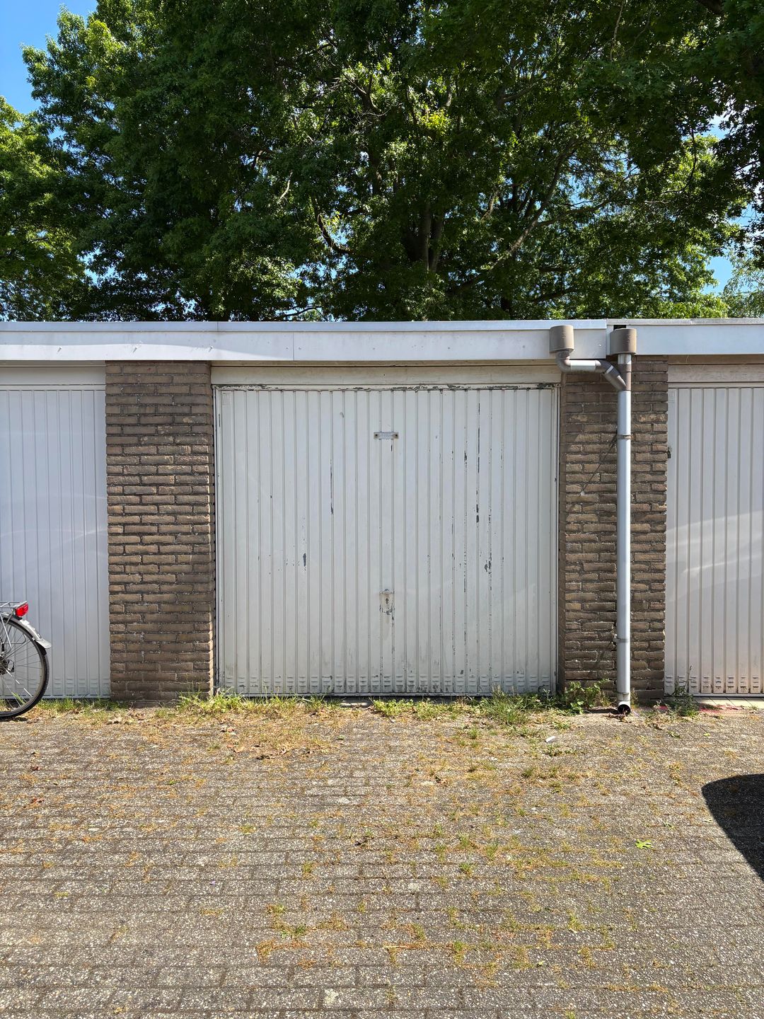 Photo 1 of Homberg 1538-G02