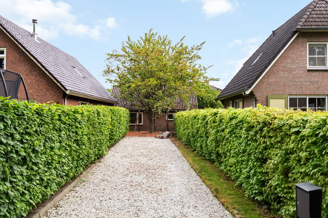 Foto 8 van Elskampweg 16