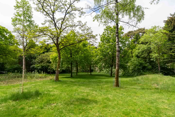 Foto 48 van Cort van der Lindenlaan 46-C