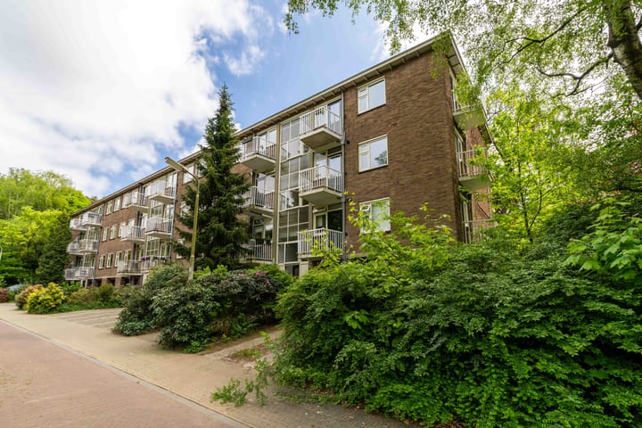 Foto 50 van Cort van der Lindenlaan 46-C