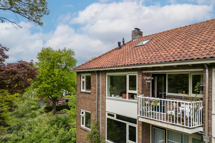 Foto 51 van Cort van der Lindenlaan 46-C