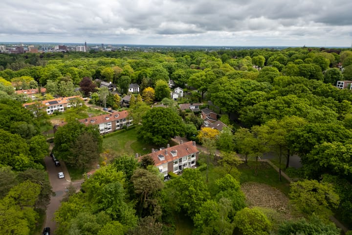 Foto 53 van Cort van der Lindenlaan 46-C