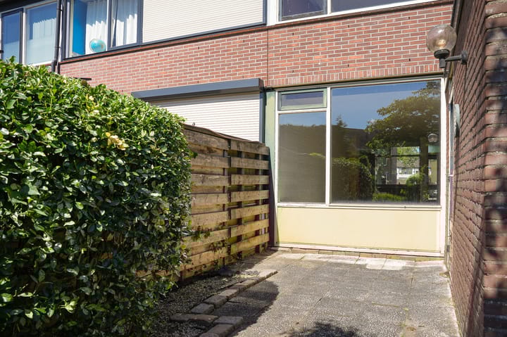 Foto 19 van Vijfmolens 10