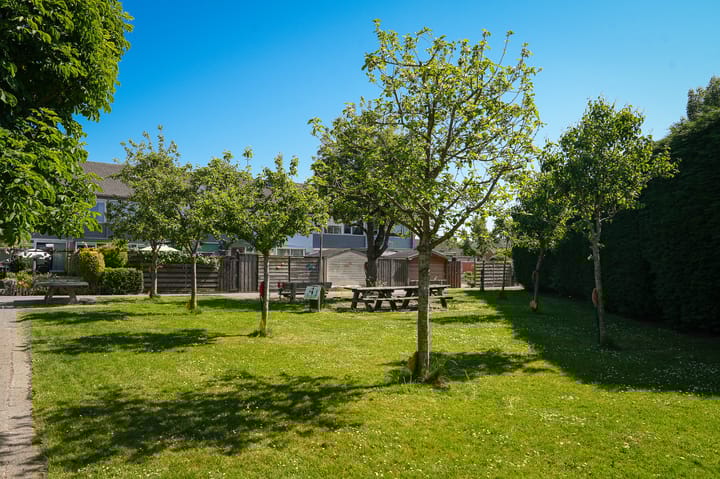 Foto 22 van Vijfmolens 10