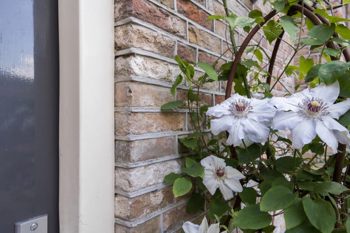 Foto 70 van Ypendael 6