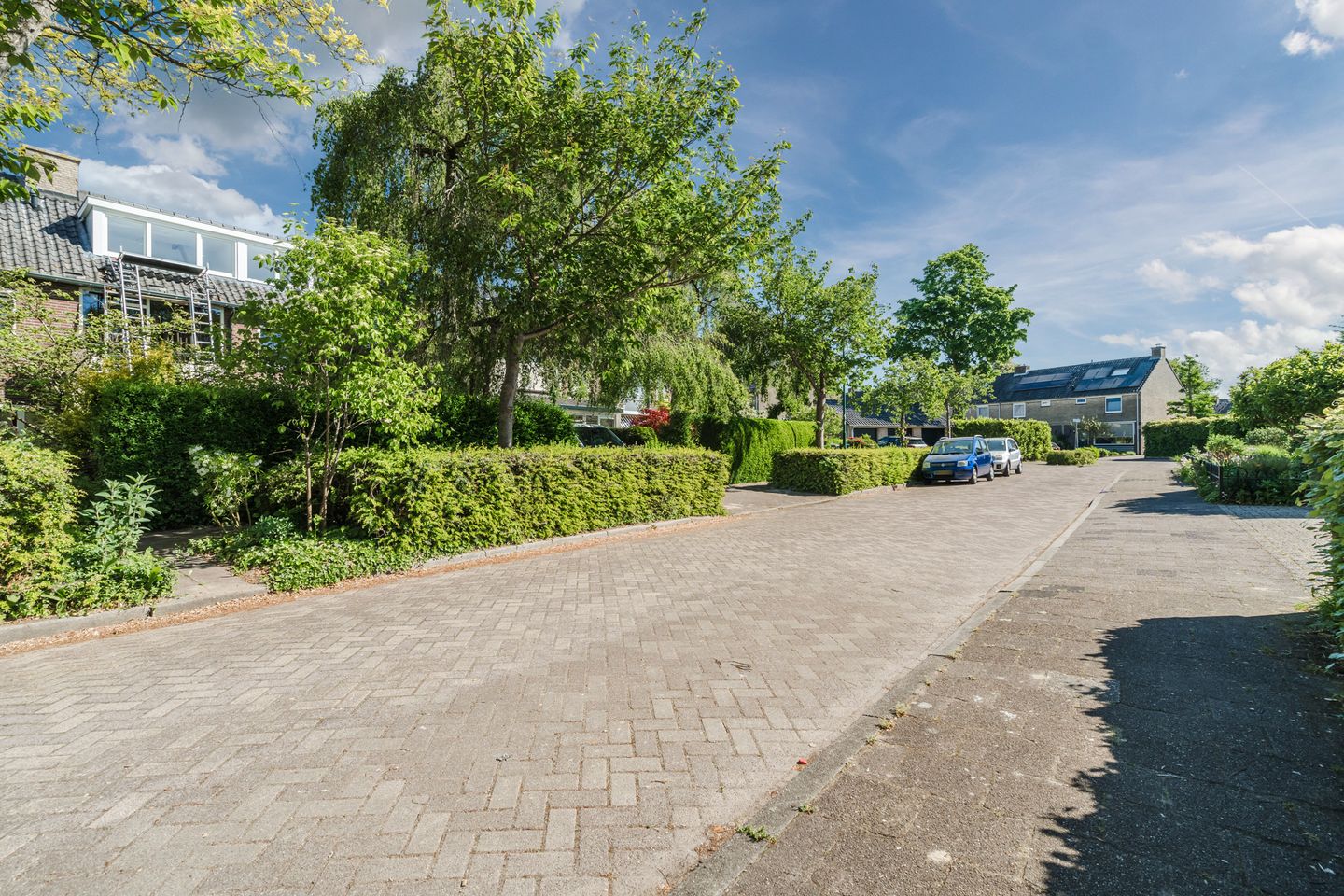 Photo 44 of Prins Hendriklaan 9