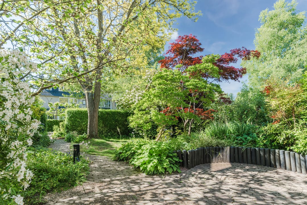 Photo 47 of Prins Hendriklaan 9