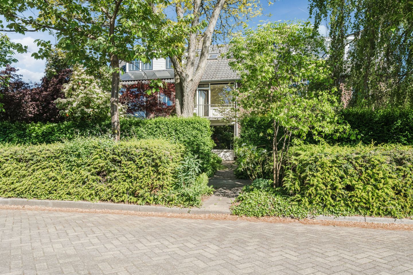 Photo 49 of Prins Hendriklaan 9