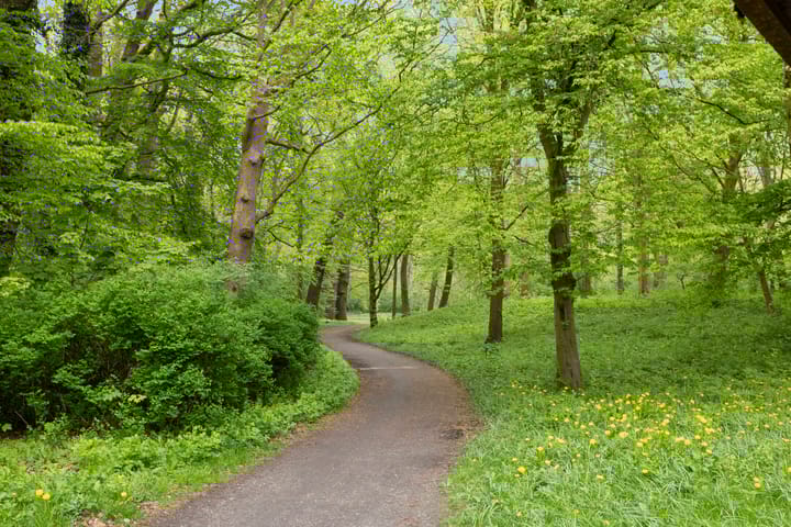 Foto 37 van Hereweg 97-28