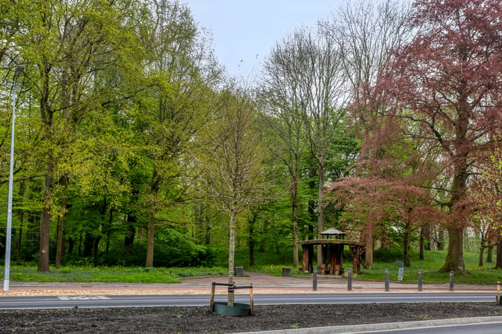 Foto 39 van Hereweg 97-28