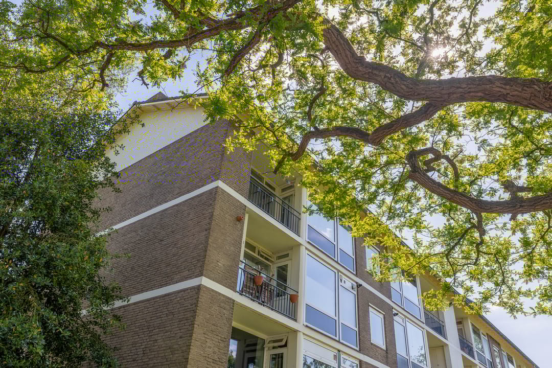 Foto 11 van Welschapsedijk 143