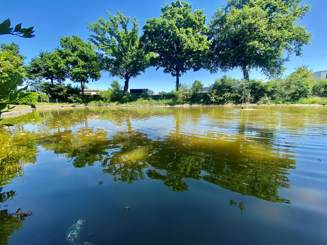 Foto 17 van Hommelweg 2-646