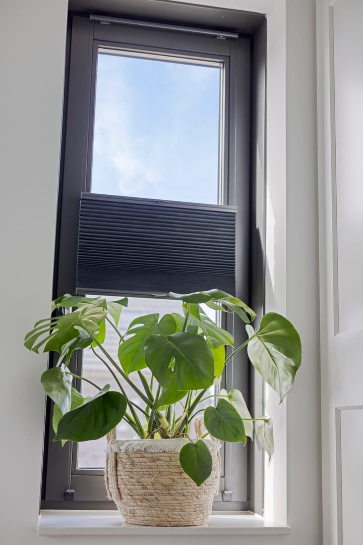 Foto 42 van C. Lofstraat 45