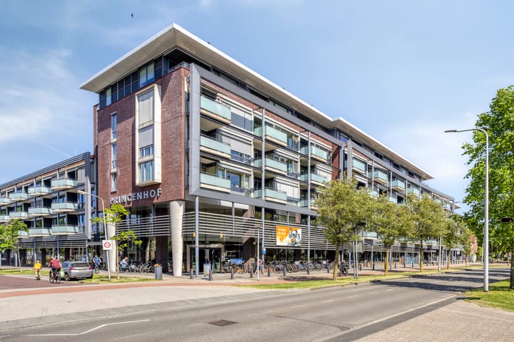 Foto 2 van Willemskade 29-212