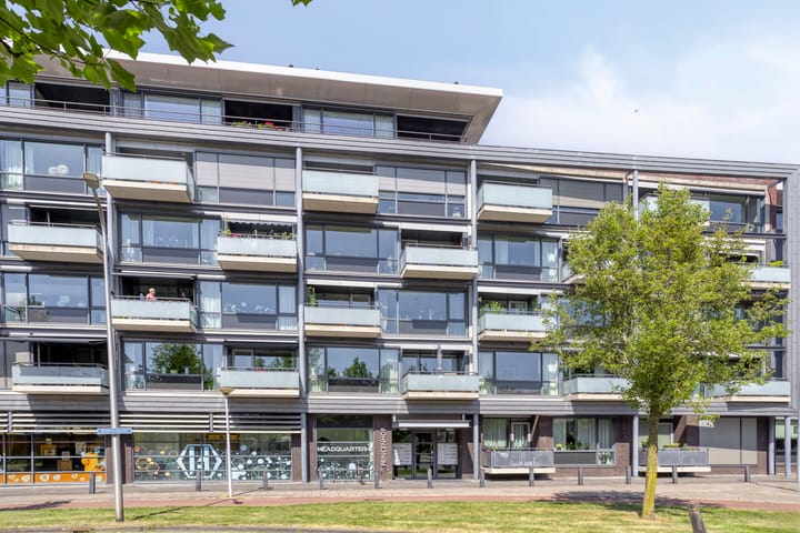 Foto 4 van Willemskade 29-212