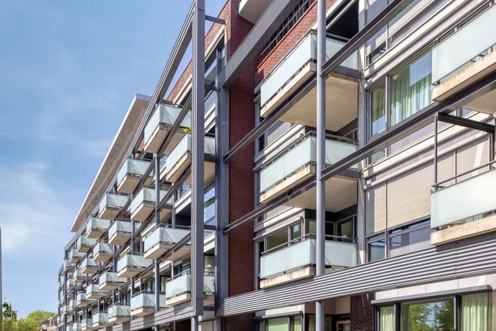 Foto 49 van Willemskade 29-212