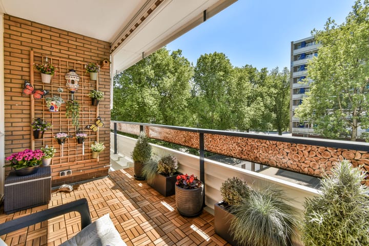 Foto 11 van Donau 32