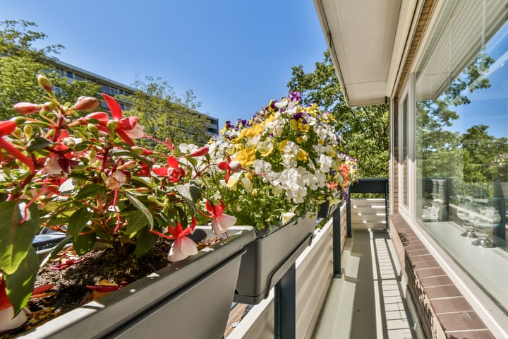 Foto 13 van Donau 32