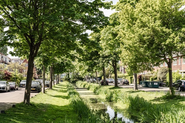 Foto 45 van Julianalaan 302