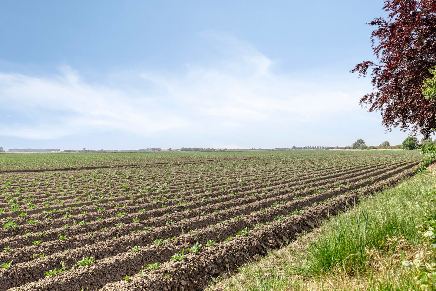 Foto 44 van Sasput 5