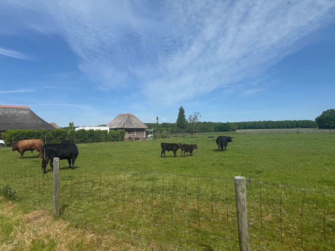 Foto 11 van Kadoelen 16