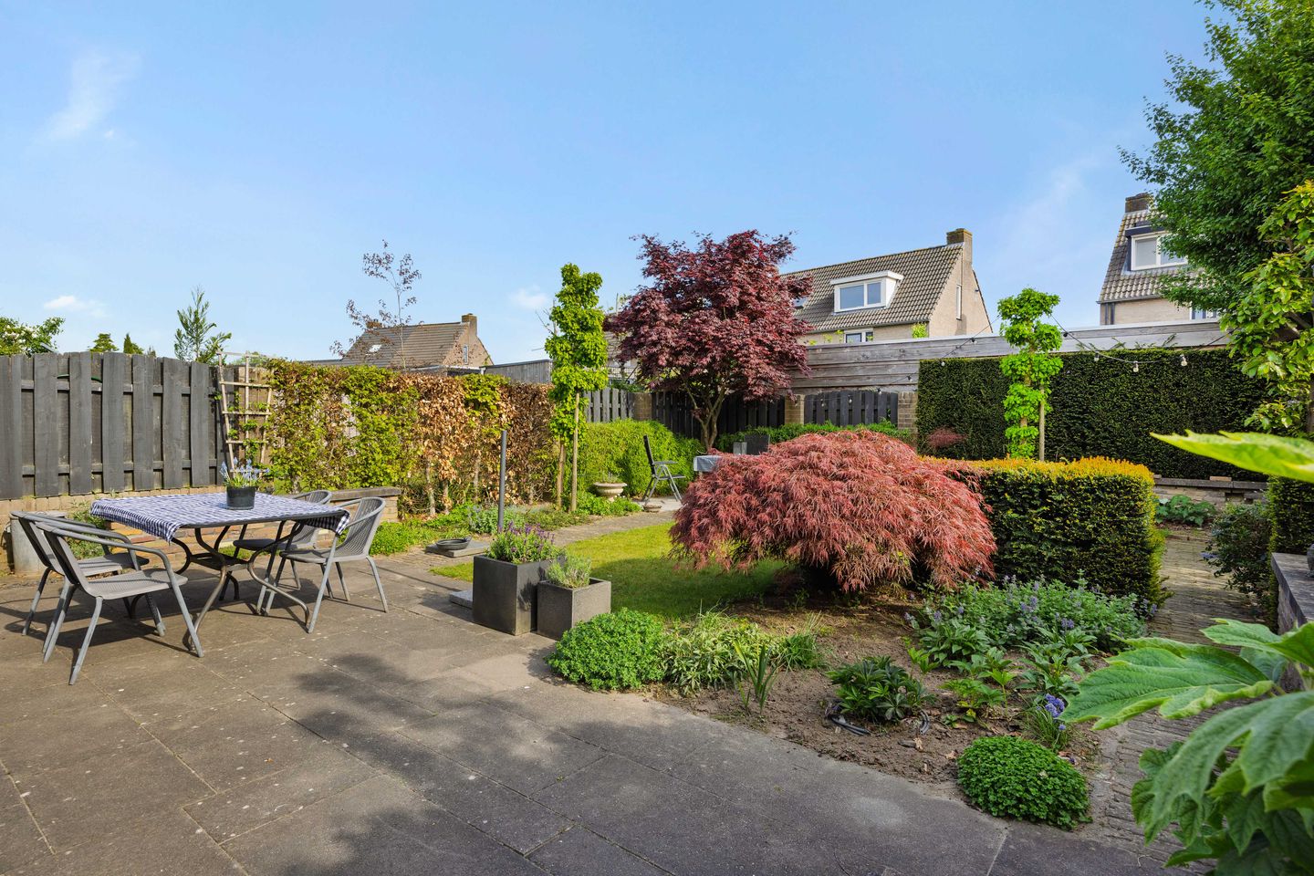 Photo 34 of Plecht 11