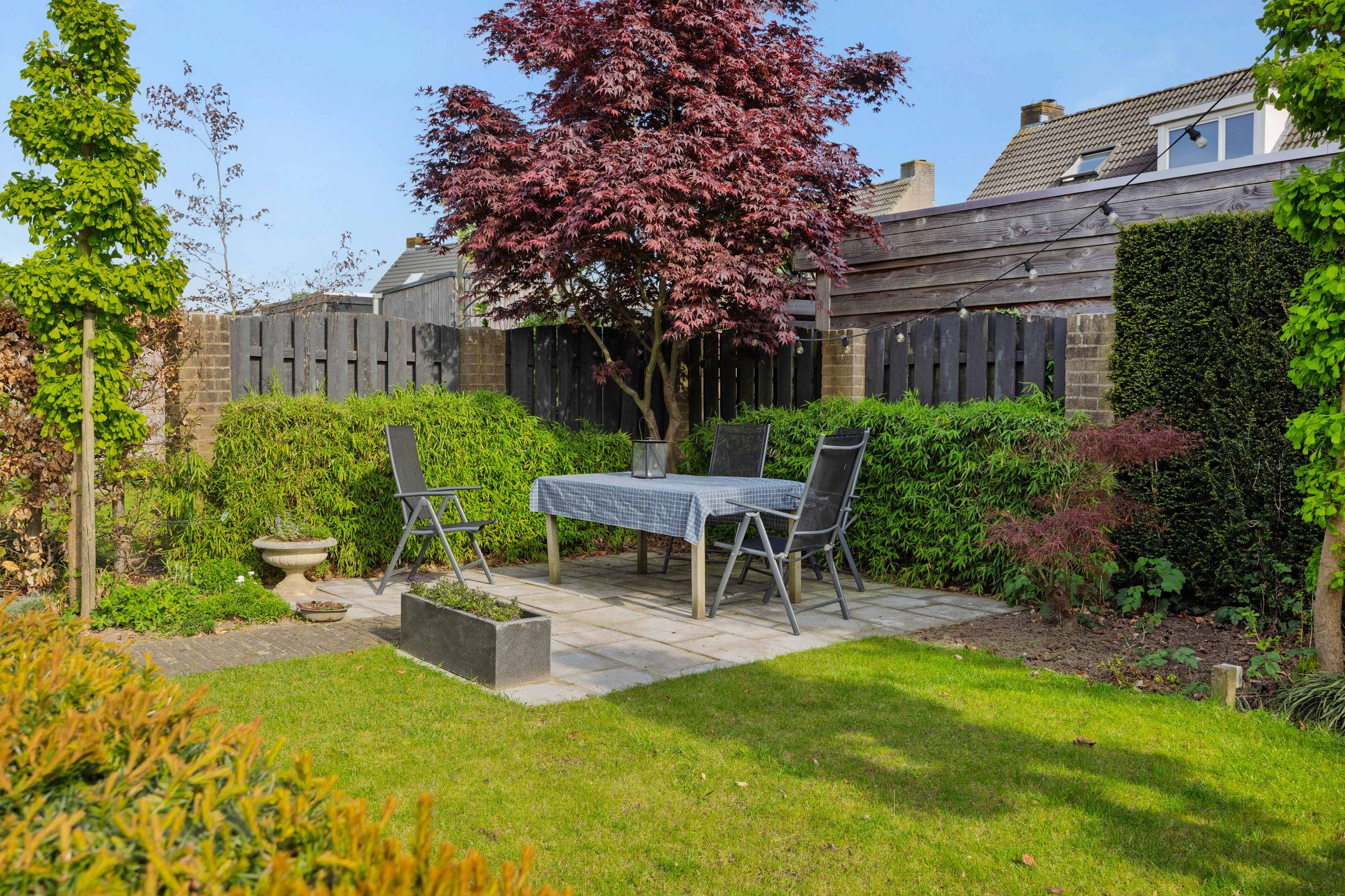 Photo 36 of Plecht 11