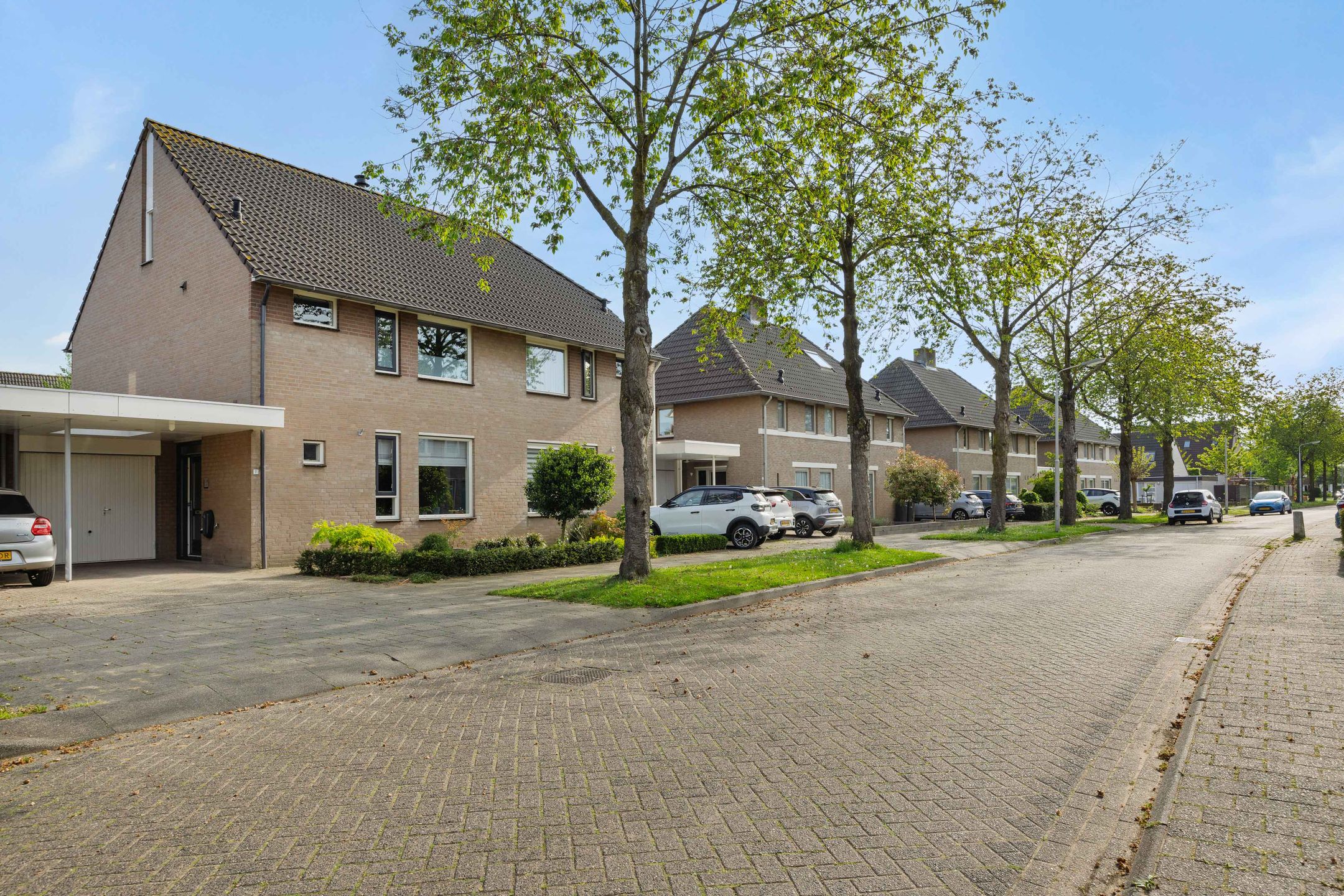 Photo 39 of Plecht 11