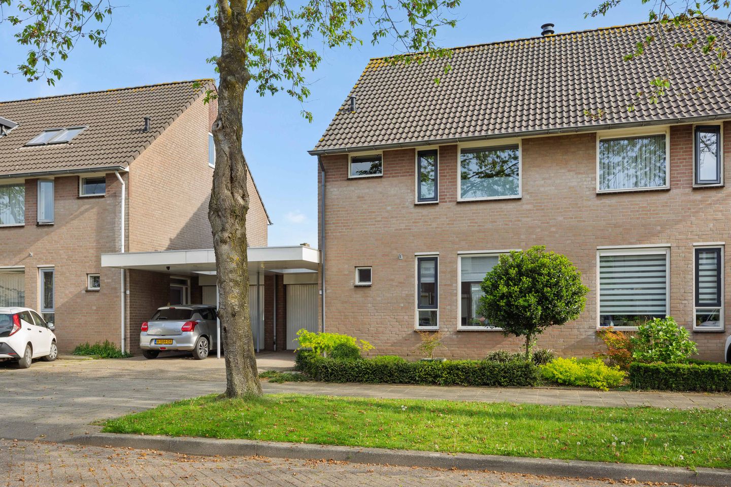 Photo 40 of Plecht 11